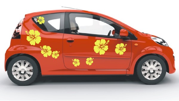Aufkleber | Mehrteilige Blumen – Sets mit dekorativen Hibiskus – Blüten als Autoaufkleber | 8 Teile| Motiv 3 | ✔Made in Germany  ✔Kostenloser Versand DE