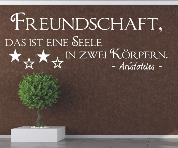 Wandtattoo Spruch | Freundschaft, das ist eine Seele in 2 Körpern. - Aristoteles | 4 | ✔Made in Germany  ✔Kostenloser Versand DE